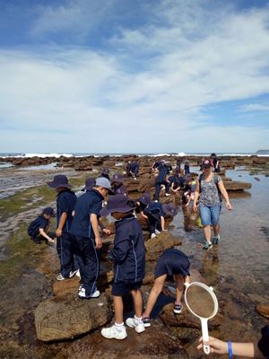 2019 Stage 1 Collaroy Excursion 22