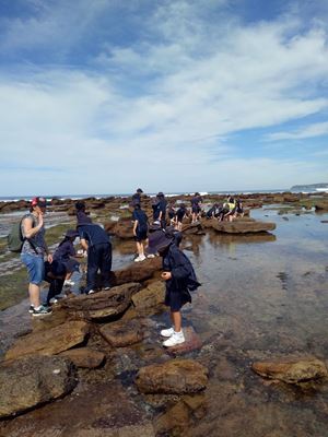 2019 Stage 1 Collaroy Excursion 23
