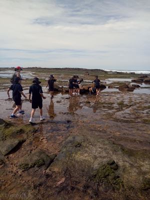 2019 Stage 1 Collaroy Excursion 26