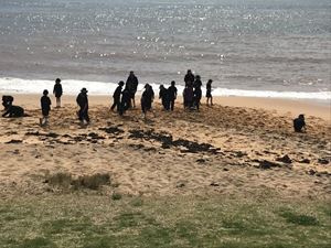 2019 Stage 1 Collaroy Excursion 37