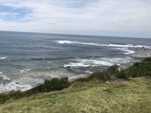 2019 Stage 1 Collaroy Excursion 45