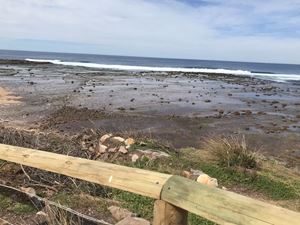 2019 Stage 1 Collaroy Excursion 48