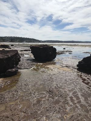 2019 Stage 1 Collaroy Excursion 51