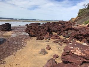 2019 Stage 1 Collaroy Excursion 52