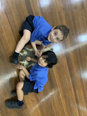 2020 Kindergarten Aboriginal Incursion 091