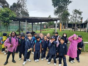 2022-year-1-zoo-excursion-056