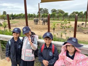 2022-year-1-zoo-excursion-069
