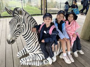 2022-year-1-zoo-excursion-086