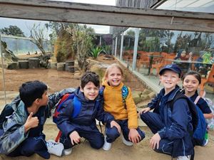 2022-year-1-zoo-excursion-242