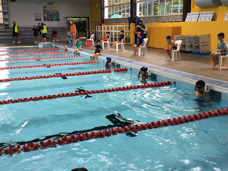 2020 Primary Swimming Carnival 012
