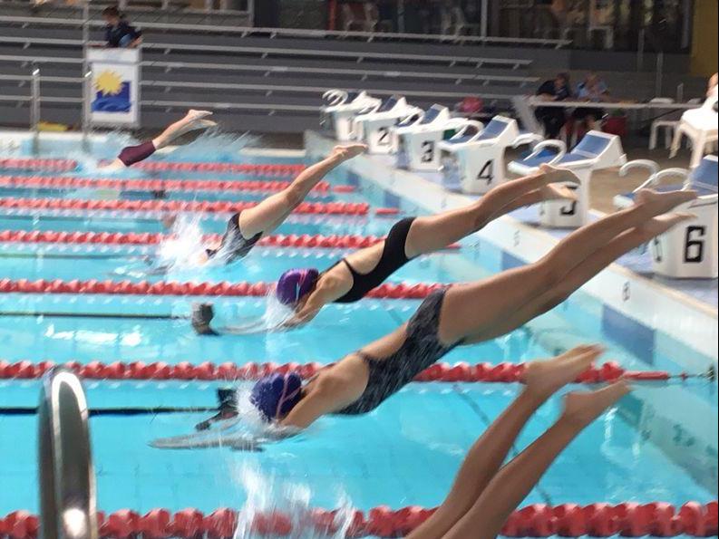 2020 Primary Swimming Carnival 100