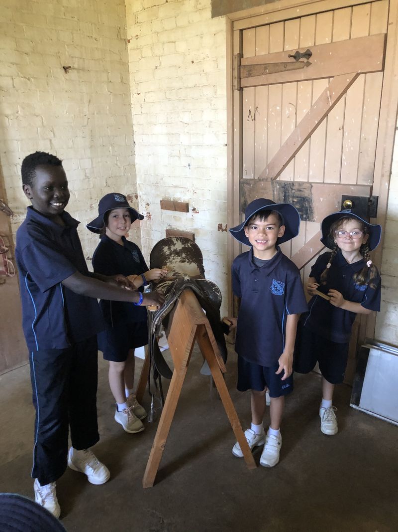 2021 Stage 1 Year 2 Rouse Hill Farm Excursion  044