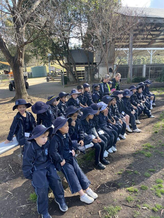 2022-kindergarten-calmsley-hill-city-farm-excursion-012