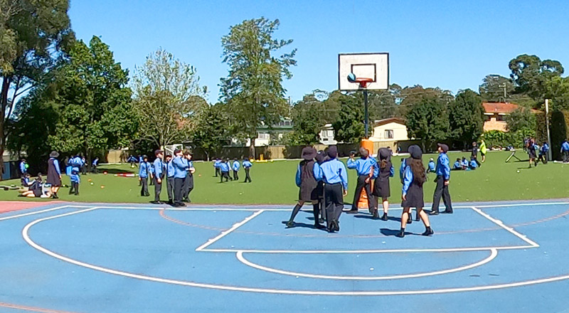Basketball Court Our Lady of Lourdes Catholic Primary Seven Hills