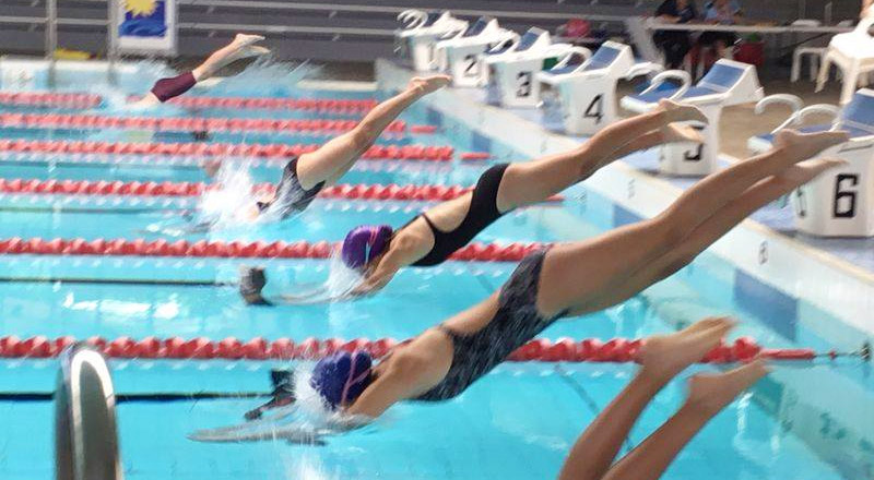 Swimming Carnival Our Lady of Lourdes Catholic Primary Seven Hills