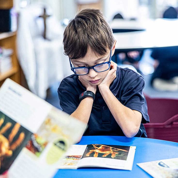 Learning at Our Lady of Lourdes Catholic Primary Seven Hills