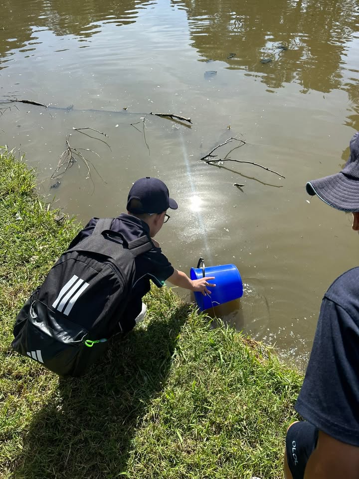 654308883361246_1550826343709491-1