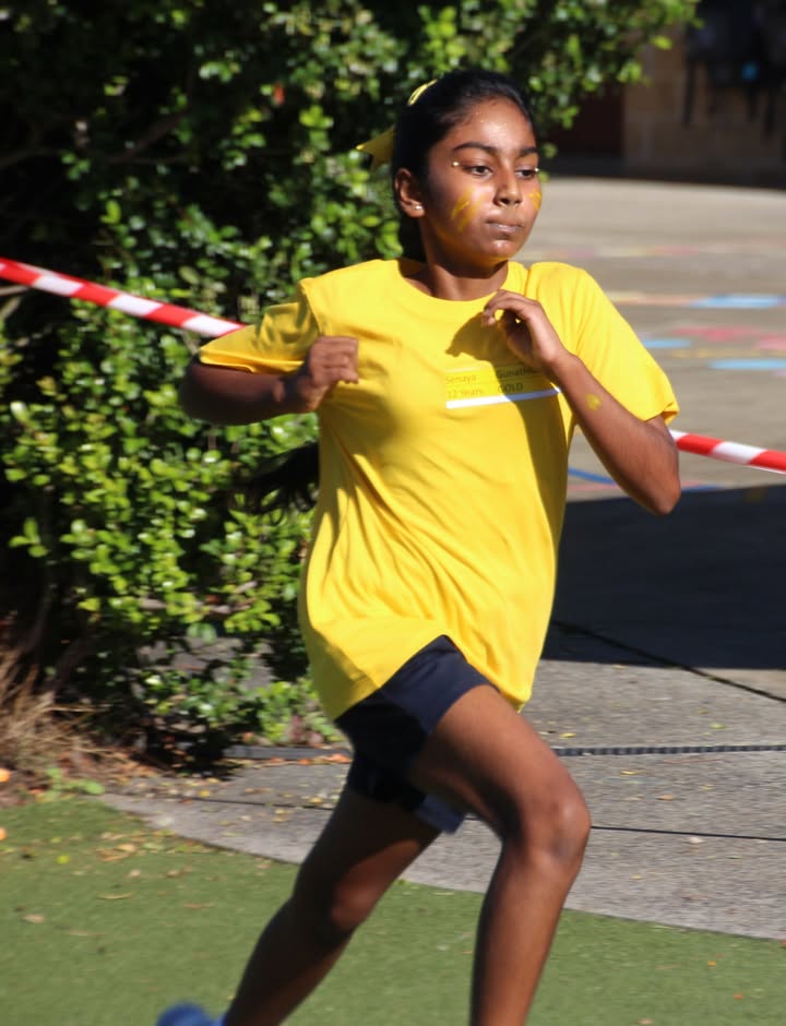 654308883361246_1558319702960155-1